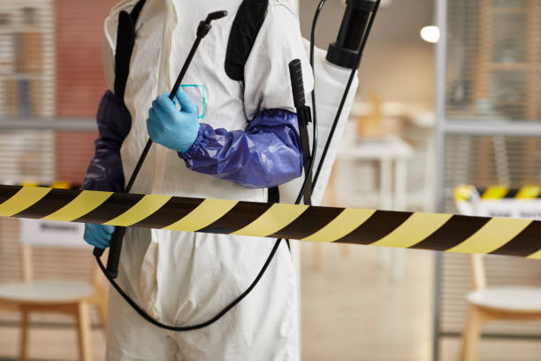 Professional Sewage Cleanup technician working in Taylor, MI